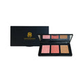 Pro Cheek Palette.png